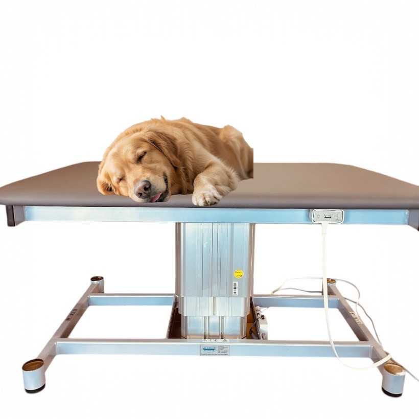 Behandlungsliege PETHERA-SERA für Hunde und Kleintiere für Tierphysiotherapie